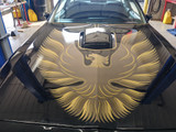 Bandit Trans Am!
