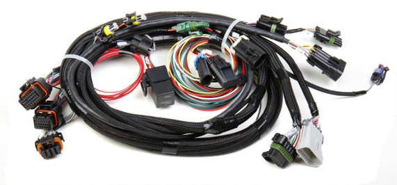 Holley Performance Parts – EFI, Intakes, & More TPI/SR HARNESS, automotive wiring harness with multiple connectors and wires for engine management systems.