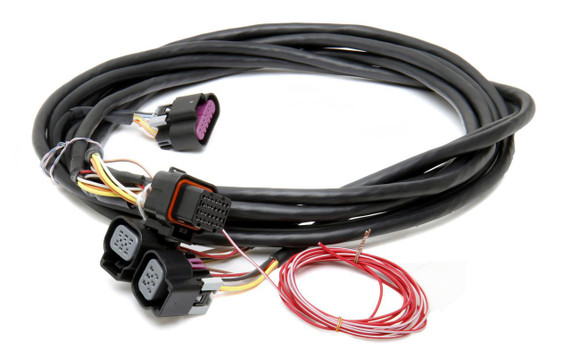 Holley Performance Parts – EFI, Intakes, & More GM DUAL DRIVE BY WIRE HARNESS, automotive wiring harness with multiple connectors and wires for engine control.