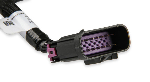 Holley Performance Parts – EFI, Intakes, & More Holley 550-1001 TERMINATOR X STEALTH 4150, SHINY - Close-up of a shiny black and purple EFI wiring connector with multiple pins.