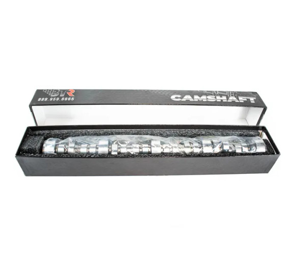BTR GEN III & IV TRUCK CAM - STAGE 2 - NSR - 31218110NSR