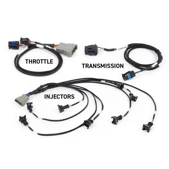 Haltech HT-220201 Rebel LS Gen III Fuel Injection System, automotive wiring harnesses and connectors for throttle, transmission, and injectors.