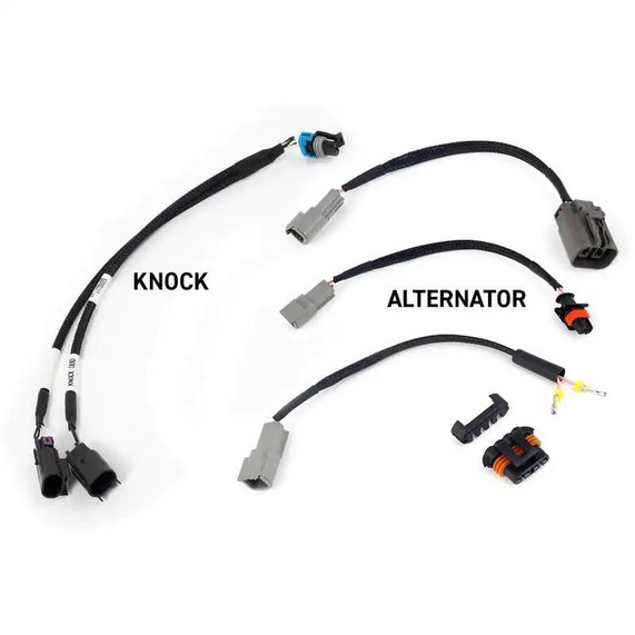 Haltech HT-220201 Rebel LS Gen III Fuel Injection System, wiring harnesses with knock sensor, alternator connection, and additional connectors for engine management.