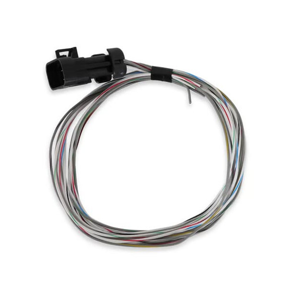 Holley 558-462 Terminator X Input/Output Harness