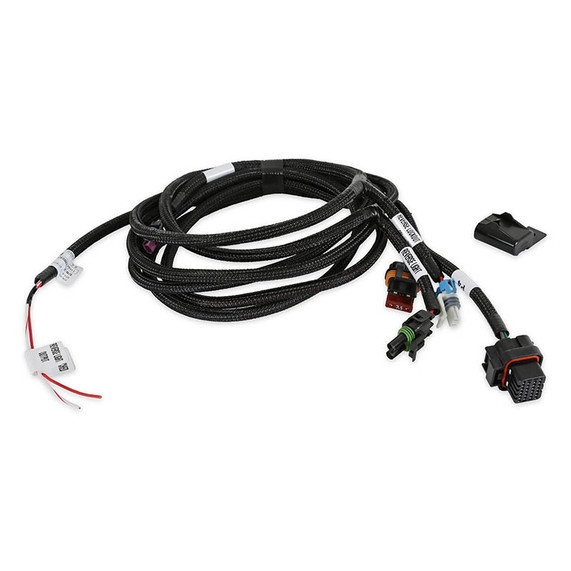 Holley 550-481 EFI Transmission Harness - T-56