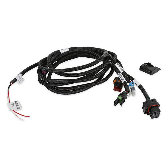Holley Performance Parts – EFI, Intakes, & More Holley 550-481 EFI Transmission Harness - T-56, a wiring harness for transmission control with multiple connectors and protective black sleeving.