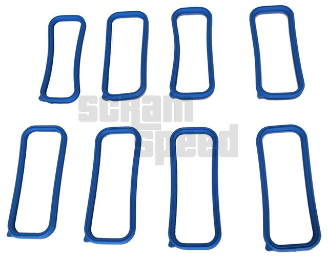 Scram Speed LSx Gen III Car Intake Manifold Gaskets (LS1, LS6), set of eight blue rubber gaskets with rectangular shape and rounded edges. Scram Speed LSx Gen III Car Intake Manifold Gaskets (LS1, LS6), set of eight blue rubber gaskets with rectangular shape and rounded edges.