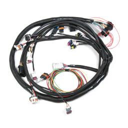 Holley Performance Parts – EFI, Intakes, & More LS2 HARNESS, automotive wiring harness with multiple connectors and wires for engine management system.