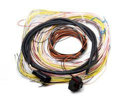 Holley Performance Parts – EFI, Intakes, & More J2A Connectors and Harness, automotive wiring harness with multiple colorful wires and connectors for engine management.