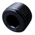 Fragola 493203-BL 1/4 MPT Pipe Plug, Internal Black, for plumbing fittings.