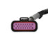 Holley Performance Parts – EFI, Intakes, & More Holley 558-190 SNIPER 2 MAIN HARNESS FOR PDM, close-up of a black electrical connector with purple and red internal components for automotive performance.