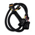 Scram Speed SNS401 O2 extension LS1 Flat 4 pin, automotive wiring harness with black protective sheathing and multi-colored connector wires.