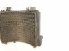 94 Kawasaki Ninja ZX11 D ZX 1100  Radiator Cooling System 39060-1116
