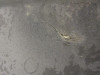 97 Suzuki GSX 600 F Katana Cowling Under Right 94471-19C00