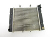 06 Bombardier Rally 175 Radiator Cooling System A19100179000