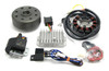 Powerdynamo MZ-B VAPE Ignition System Stator fits MZ250 TS250 TS250/1 6V 100W DC