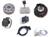 Powerdynamo (MZ-B) VAPE Ignition Stator System 1950s for Gilera Rossa 125 150 DC