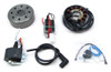 Powerdynamo VAPE Ignition System Stator 74-on for Yamaha DT 125 European 38oz DC