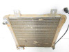 2000-2003 Polaris Sportsman 500 6x6 Radiator 1240533