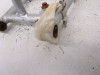 07 Yamaha TTR 50 E Swingarm 1P6-F2110-00-00 2006-2022