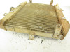 04 Honda Foreman Rubicon TRX 500 FA Radiator 19010-HN2-505 2001-2004