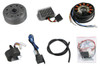 Powerdynamo VAPE Ignition System Stator for MZ ETZ125 ETZ150 DC System 12 Volt