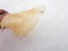 08 Yamaha YFM 450 Grizzly IRS Coolant Overflow 5ND-F1871-00-00 2003-2010