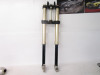 10 Kawasaki KX 250F Front Forks Left Right 44071-0647 2010 *READ DESCRIPTION*