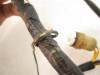 01 Kawasaki KLF 300 Bayou 2x4 Main Wiring Harness *PARTS* 26030-1803 2001-2003 01 Kawasaki KLF 300 Bayou 2x4 Main Wiring Harness *PARTS* 26030-1803 2001-2003