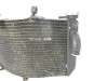 01 Honda CBR 600 F4i Radiator Cooling 19010-MBW-D21 2001-2004