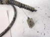 04 Suzuki LTZ 250 QuadSport Reverse Cable Knob 57900-21821 2004-2009