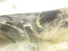 00 Polaris Trail Boss 325 Air Box Cleaner *BROKEN* 5433678 2000