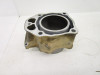 11 Honda TRX 420 FM Rancher OEM Cylinder Jug 12100-HP7-A00 2009-2026