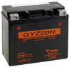 Yuasa AGM Maintenance-Free Battery GYZ20H for ATV