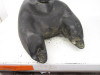 02 Yamaha YFM 660 Grizzly Gas Fuel Tank 5KM-24110-00-00 2002-2008