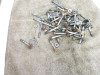 2002-2026 Honda TRX 250 Recon TM Engine Motor Hardware Nuts Bolts