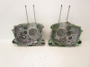 12 Honda TRX 250X Crankcases Cases 11100-HM8-A40 2003-2026