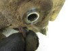 00 Yamaha Kodiak YFM 400 4x4 Front Differential Final Drive 2000-2004