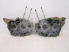 87 Honda TRX 250X Fourtrax Crankscases Cases 11100-HC0-000 1987-1992