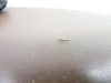 00 Polaris Magnum 325 4x4 Seat Pan Foam Sable Brown 2683222-070 2000
