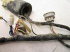 00 Suzuki LTF 250 2x4 Quad Runner Main Wiring Harness 36610-39DN0 2000