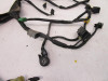 07 Honda VT600CD Shadow VLX Deluxe Main Wiring Harnes 32100-MZ8-U40 2004-2007