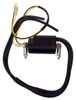 Dual Lead Spark Plug Wire 6 Volt Ignition Coil for Honda Kawasaki Yamaha Suzuki