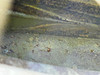 1979 Honda XL 125 185 S Gas Fuel Tank