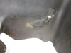02 Suzuki LTF 400F Eiger Manual Right Footwell Guard 63331-38F13-291 2002