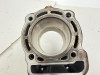 2004 Honda NSS 250 Reflex OEM Cylinder Jug 12100-KFG-J00 2001-2005