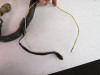 00 Can Am DS 650 Main Wiring Harness *PARTS* 710000071 2000