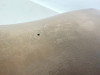 1996 Yamaha YFB 250 Timberwolf 4x4 Seat Pan Foam 4BD-24710-E0-00 1992-1999