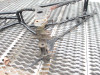 07 Kawasaki Ninja EX 250 Frame 32160-1763 2001-2007