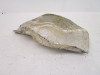 85-86 Honda ATC 350X Gas Fuel Tank Heat Shield #3 17540-HA5-000 1985-1986